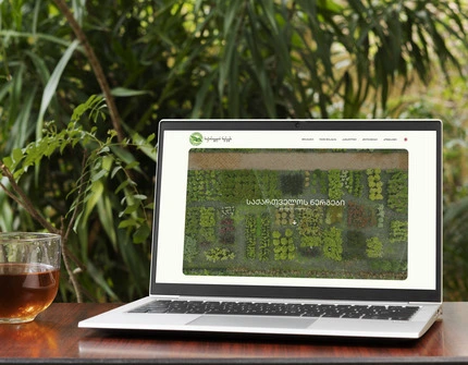 საქართველოს ნერგები